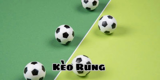 Nắm rõ các quy tắc cơ bản của kèo rung