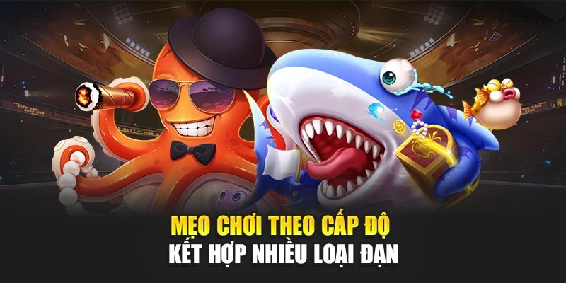 Mẹo chơi theo cấp độ tận dụng ưu đãi khởi đầu